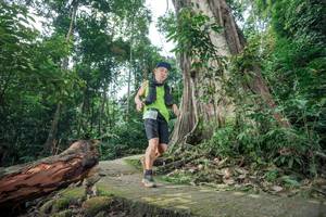 BIB: 
                            <button type="button" onclick="openModal(24809416)" class="btn btn-primary btn-sm float-right btn-popup" data-toggle="modal" data-target=".modal-high-quality">
                        <i class="fas fa-shopping-cart"></i> Add to Cart
                    </button>
                                            <button type="button" onclick="isThisMe(24809416, true)" class="btn btn-success btn-sm float-right btn-popup btn-isme hidden" data-toggle="tooltip" data-placement="bottom" title="นี่คือรูปของคุณใช่ไหม คลิกที่นี่เพื่อเอาเข้าอัลบั้ม">
                        <i class="fas fa-plus"></i> Add to album
                    </button>
                    <button type="button" onclick="isThisMe(24809416, false)" class="btn btn-warning btn-sm float-right btn-popup btn-isnotme hidden">
                        <i class="fas fa-ban"></i> Remove from album
                    </button>